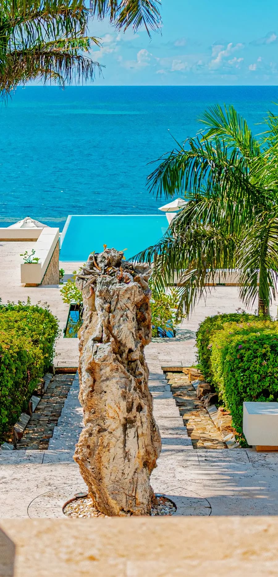 A scenic view of an infinity pool blending into the blue ocean, framed by lush greenery and a tall, gnarled tree trunk in the foreground. The setting is tropical and serene, with palm trees and neatly arranged bushes adding to the landscape's beauty.